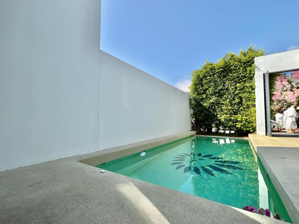 Palm Spring *
